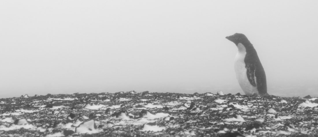 Las claves de la resiliencia