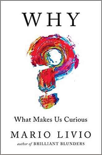 ¿Qué nos hace curiosos?