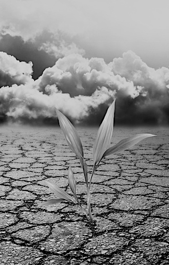 Resiliencia y empatía para un mundo ¿VUCA? (2ª parte)