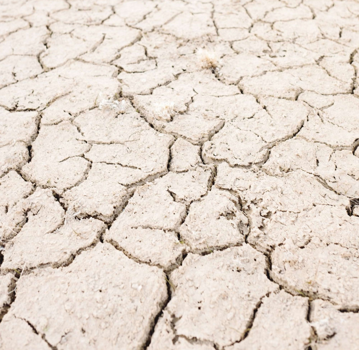 Demasiado calor para trabajar