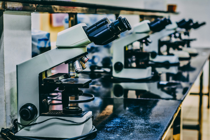Cómo implantar la IA en base a evidencias. El caso de Repsol