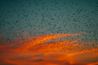 Repensar el liderazgo: Del mito del héroe a la arquitectura del sistema